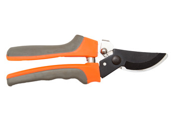 secateurs on a white background