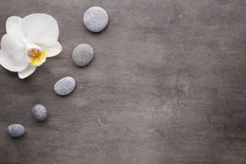 White orchid and spa stones on the grey background.