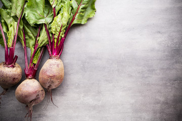 Beet harvest.