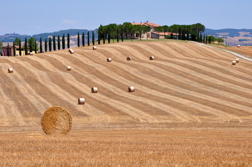 Bales and haystacks on the hills and fields in Tuscany, Italy. 
