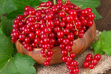 Redcurrant bowl