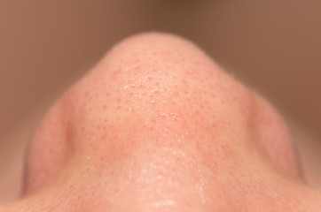 Women's nose, close-up
