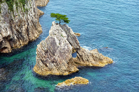 浦富海岸　千貫松島
