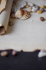 Old scroll of parchment with sea pebbles and seashells, nautical