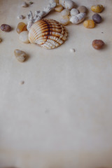 Old scroll of parchment with sea pebbles and seashells, nautical