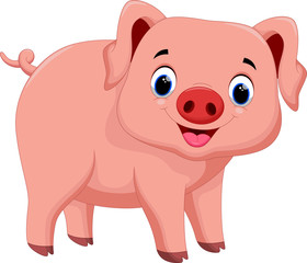 Cute pig cartoon