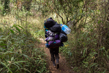 Fototapeta premium Full loaded porter