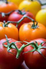 Colorful tomatoes