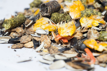 natural  muesli  background . for horse. extrim macro