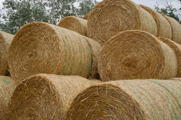 Straw bales.