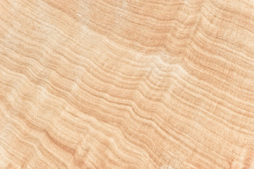 surface of teak wood texture with natural pattern