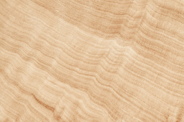 surface of teak wood texture with natural pattern