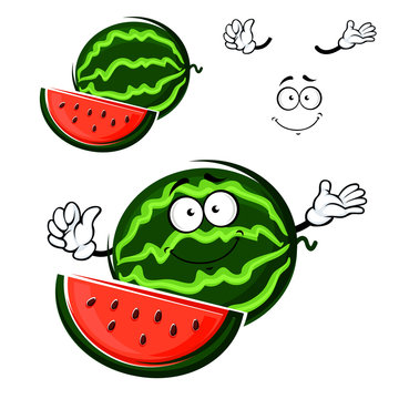 Watermelon fruit cartoon isolated character