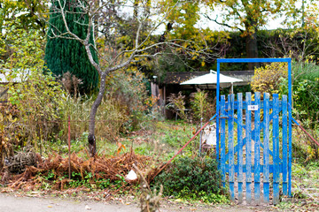 Hoffnung - Das blaue Gartentor stemmt sich gegen den Abriss im Schrebergarten