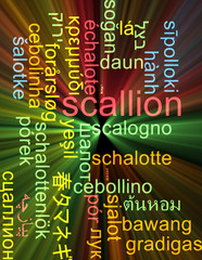 Scallion multilanguage wordcloud background concept glowing