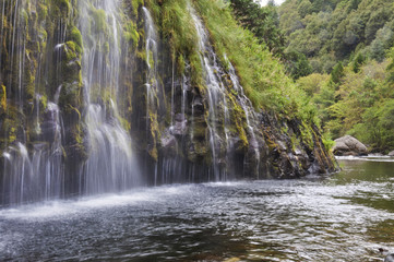 Obraz premium Landscape of mossy rocks and waterfall/Waterfall in Mossbrae Springs, Dunsmuir, California