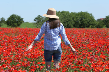 Woman walking on poppy field over blue sky background