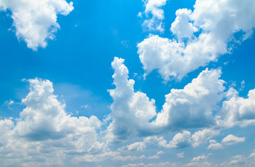 white cloud