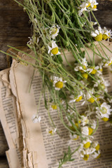 Old book with dry flowers on table close up