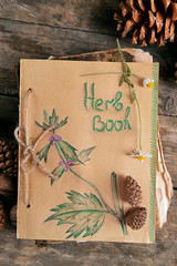 Old book with cones and dry chamomile on table close up