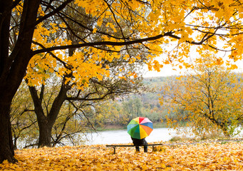 autumn landscape