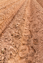 land before planting