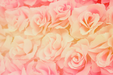 Obraz na płótnie Canvas blur rose