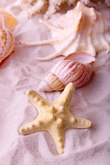 Fototapeta na wymiar Beautiful seashells on sand background