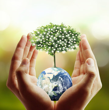 Globe ,earth in human hand, hand holding our planet earth glowin