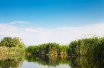 Fototapeta na wymiar River landscape in summer sunny day