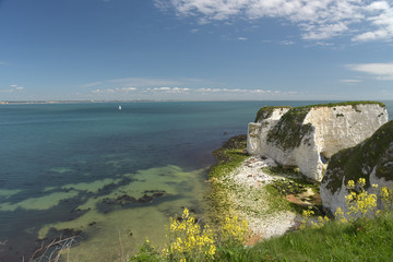 View over Old Harry Rocks, Swanage, Dorset