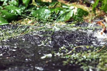 Rainy puddle outdoors