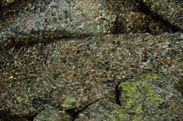 Rocks under clear water in the mountain stream