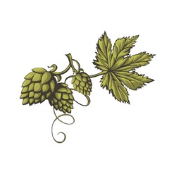 Stylized branch of green beer hops.