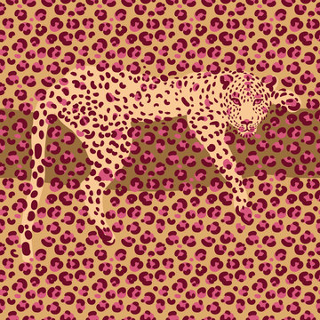 leopard 1_1