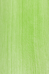 écorce intérieure de spathe de palmier vert 