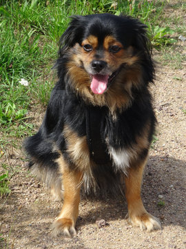 Tyson