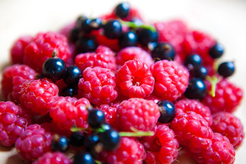 colorful background of mix ripe berries