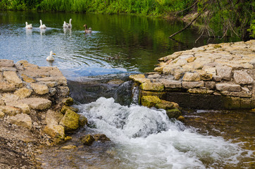 Fototapete bei efototapeten.de bestellen   