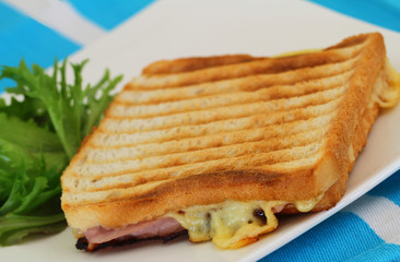 Toast with ham and cheese, closeup
