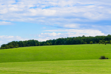 Fototapeta na wymiar beauty green summer rural landscape view on blue sky backgrounds