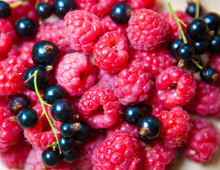 colorful background of mix ripe berries