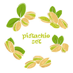 pistachio