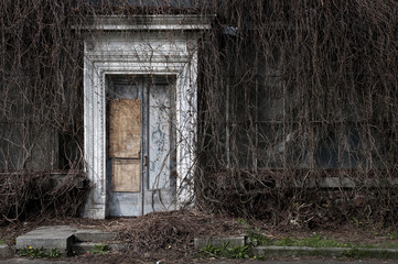 An old abandoned orangery in Kyiv