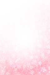 桜　年賀状　背景