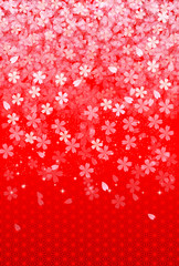 桜　年賀状　背景