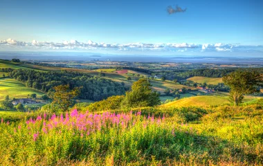 Fototapete Somerset Landschaft nach Hinkley Point von Quantocks in HDR © acceleratorhams