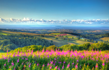 Quantock Hills Somerset countryside to Hinkley Point and Bristol Channel HDR - obrazy, fototapety, plakaty