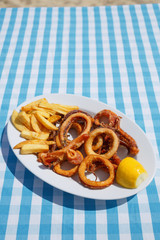 Fried calamari/Deep fried calamari rings with potato in restaurant. Plaid cloth background.