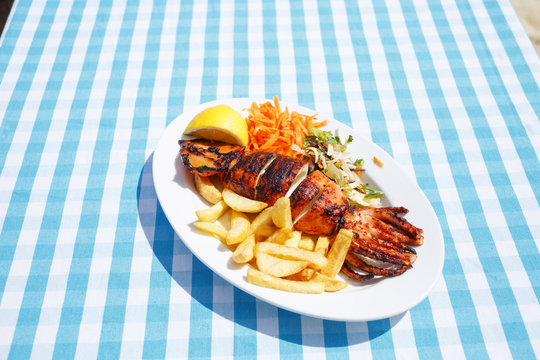 Lunch calamari/Grilled calamari in plate with potato and vegetables in restaurant on beach. Plaid cloth background.